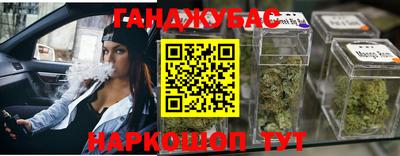 сатива Кингисепп