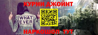сатива Кингисепп