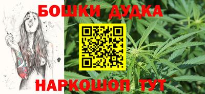 сатива Кингисепп