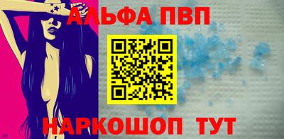 сатива Кингисепп