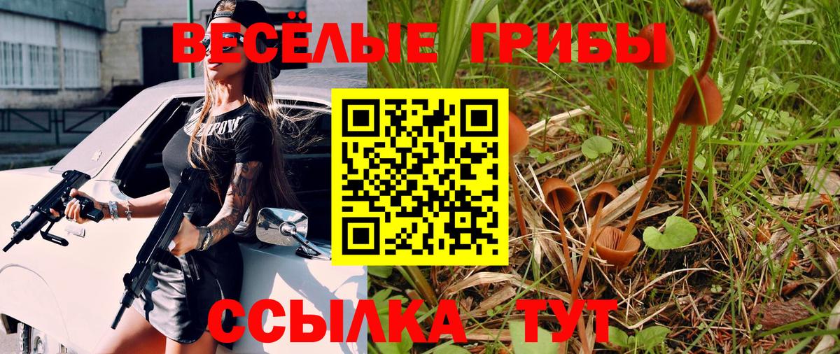Галлюциногенные грибы Psilocybe  Вход с VPN  Псилоцибиновые грибы ЛСД  Лиски 